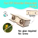DIY Wooden Science Experiment  (2).webp