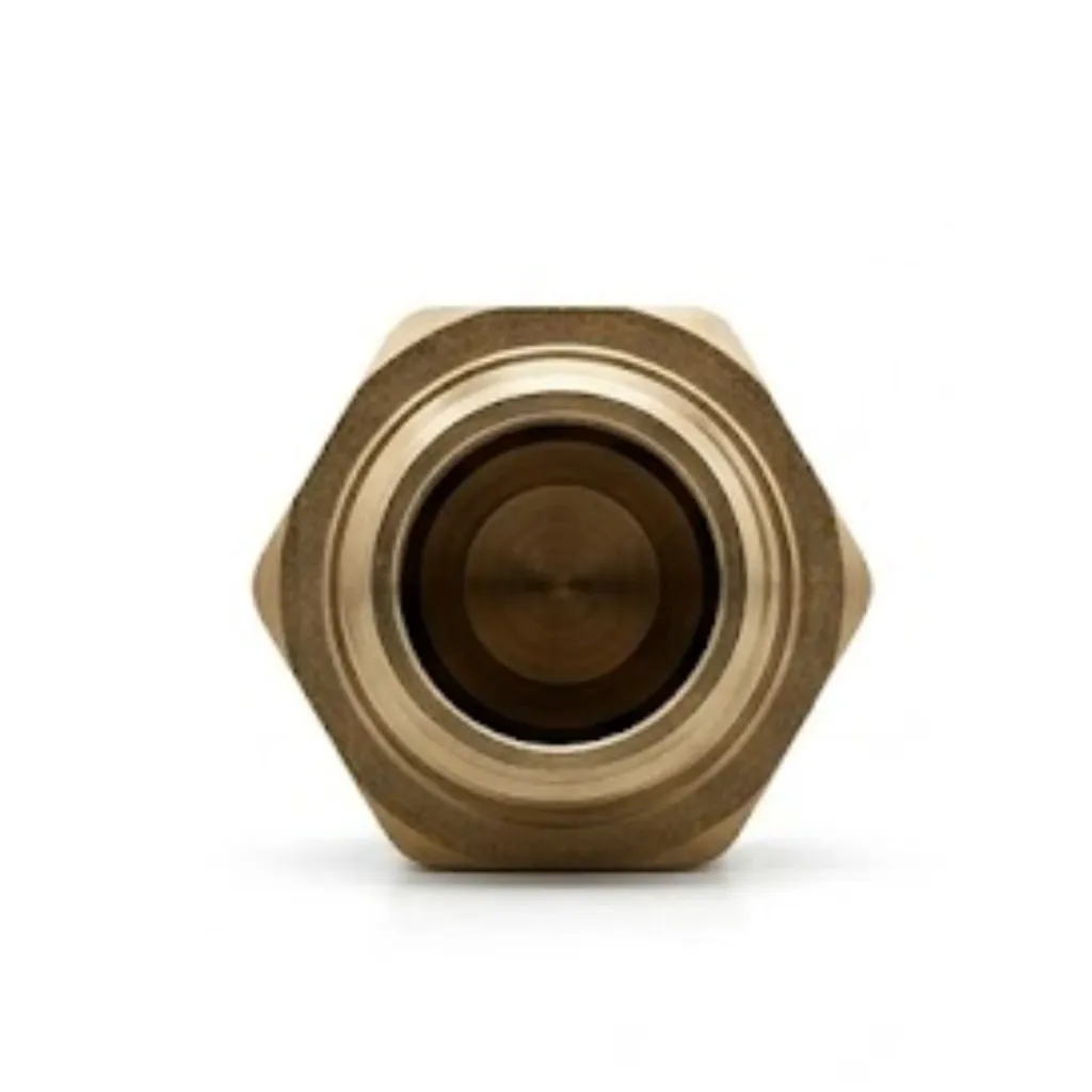 PSF Brass Central Adapter Male (M) Female (F) BSPT Pipe Fitting (1).webp