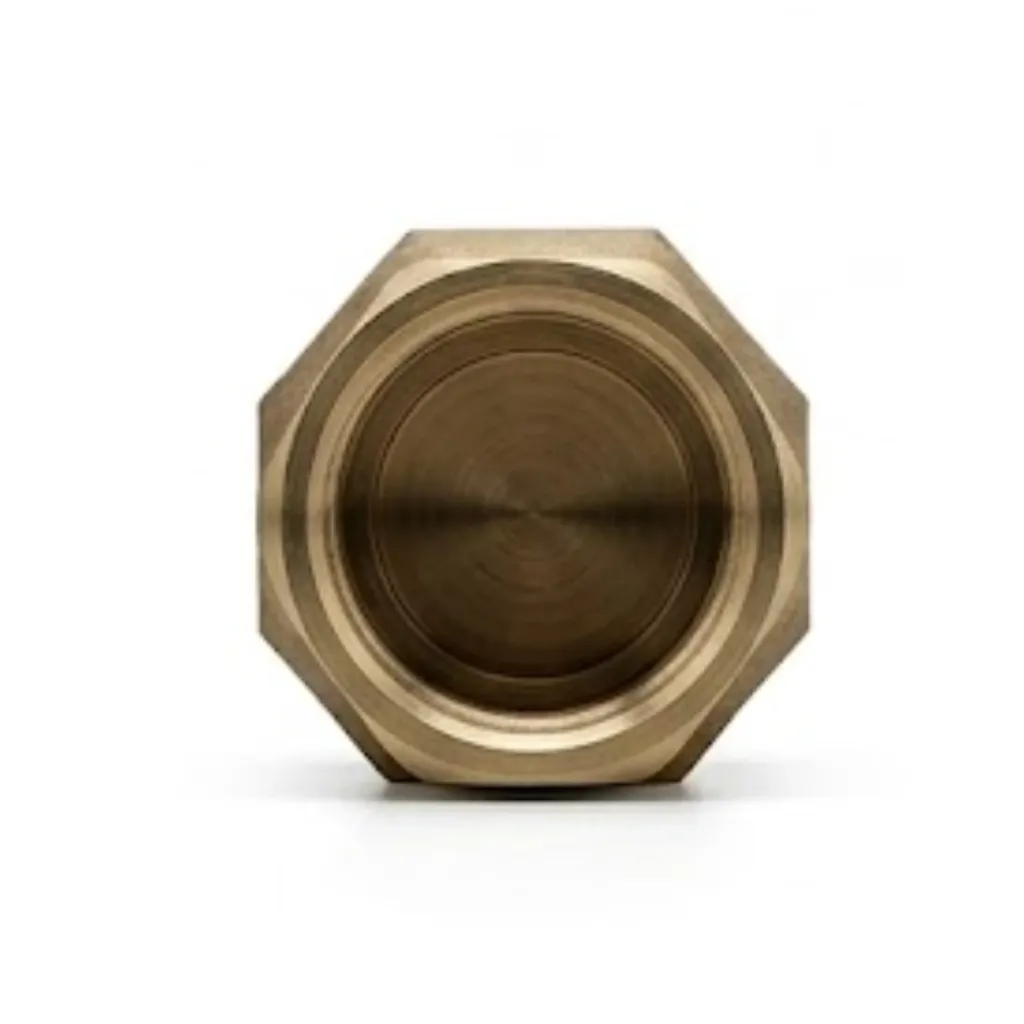 PSF Brass Central Adapter Male (M) Female (F) BSPT Pipe Fitting (2).webp