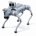 Unitree Go2 AI-Powered Quadruped Robot for Research and Development (1).webp