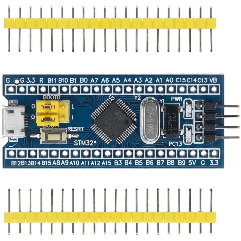 STM (1).webp