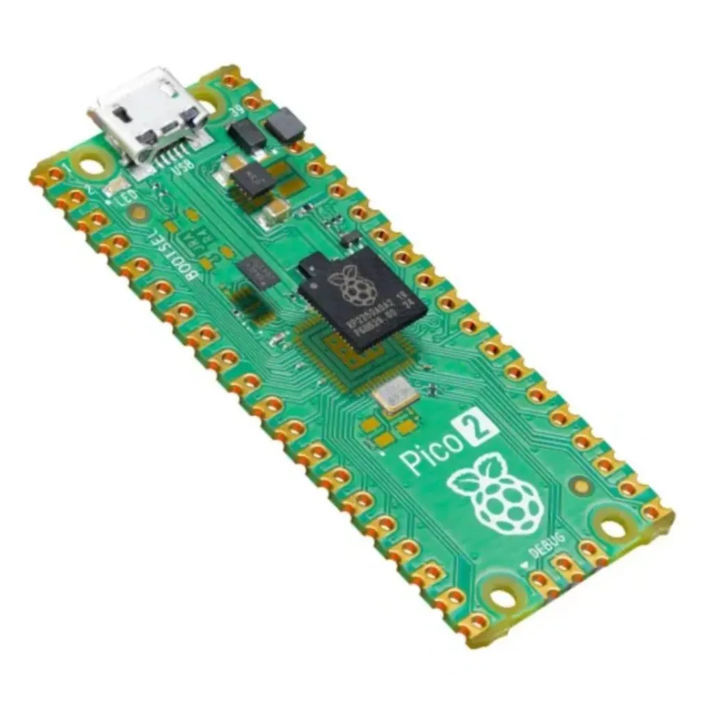 RASPBERRY (1).webp