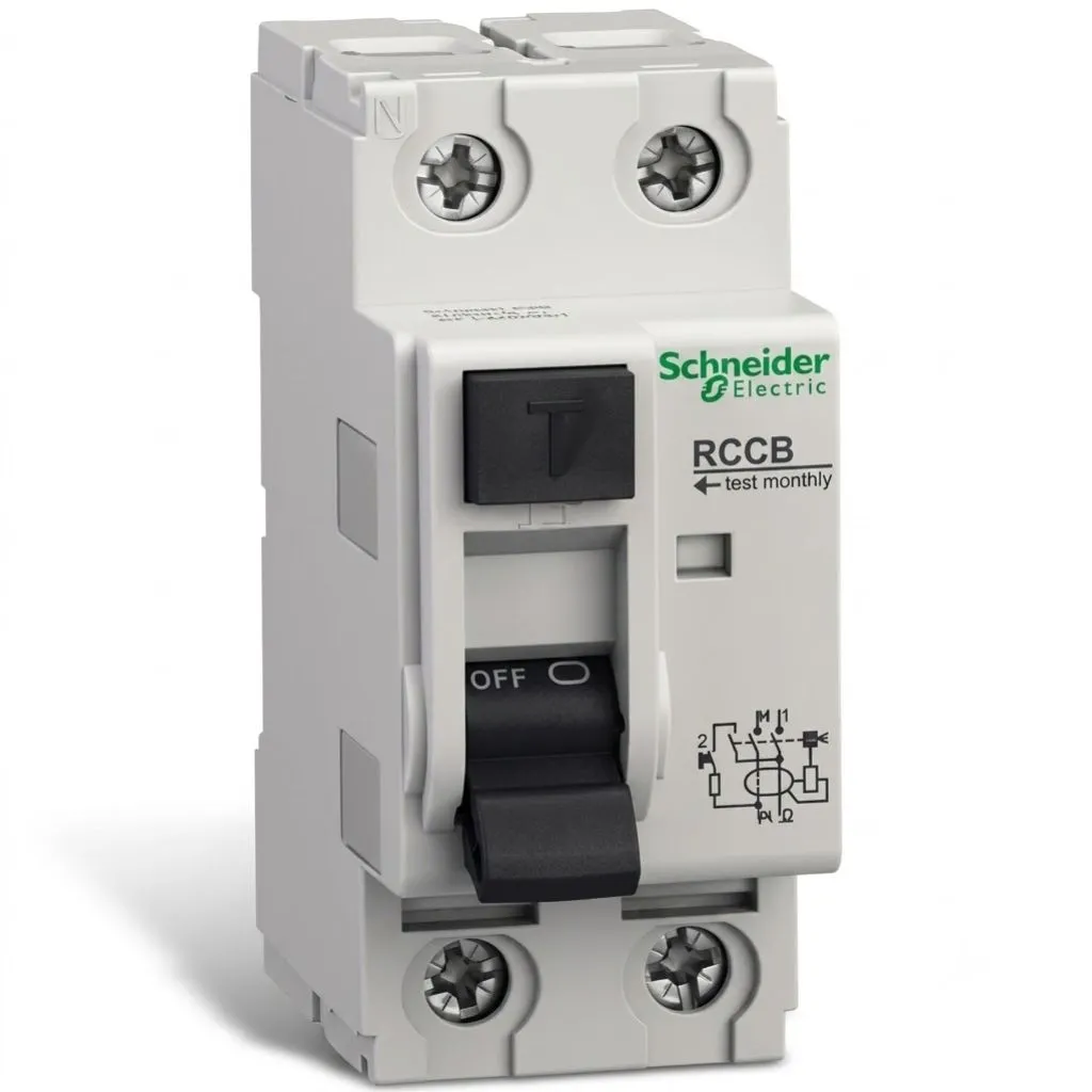 [RI-00031] SCHNEIDER RCCB 63A 2Pole 30mA A9N16208
