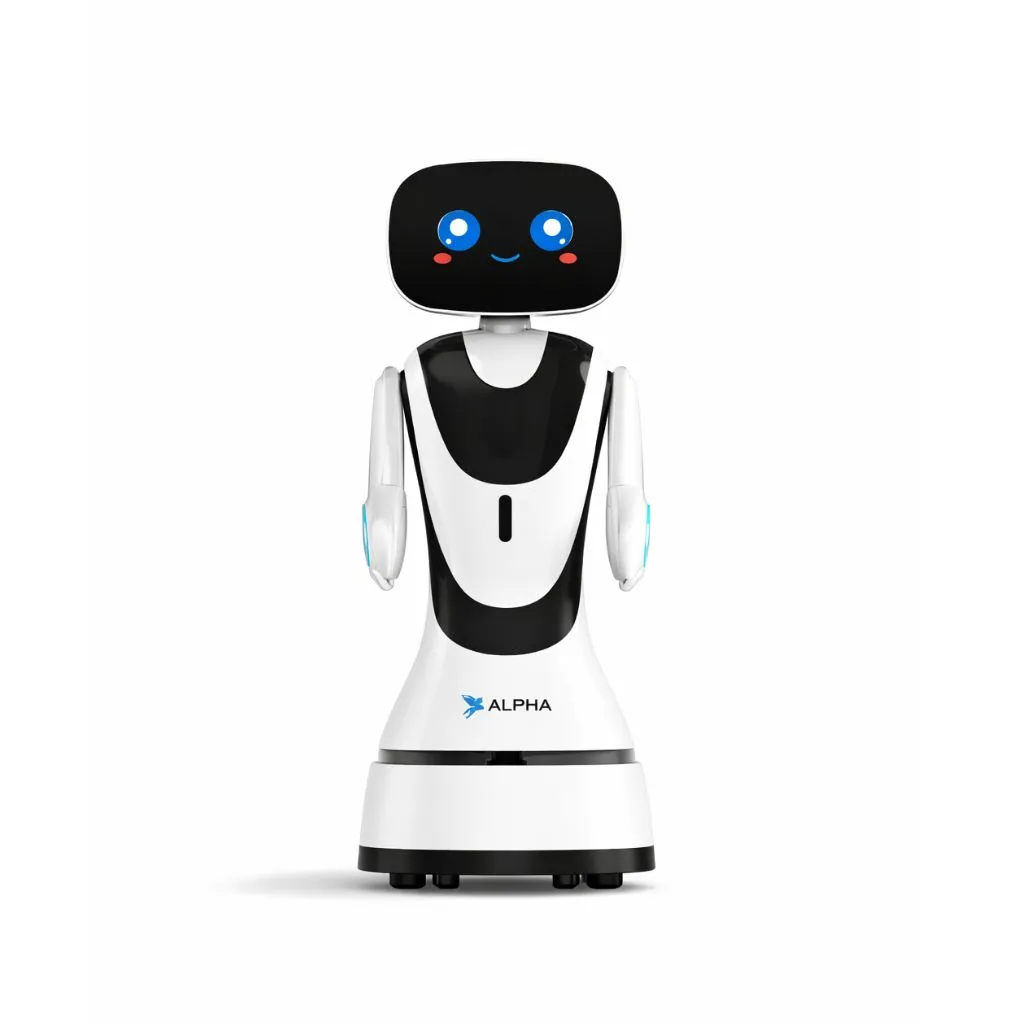 Reception Service Robot