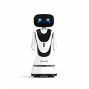 Reception Service Robot